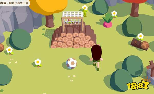 舒舒服服小島時光全足球位置一覽 舒舒服服小島時光足球位置分享