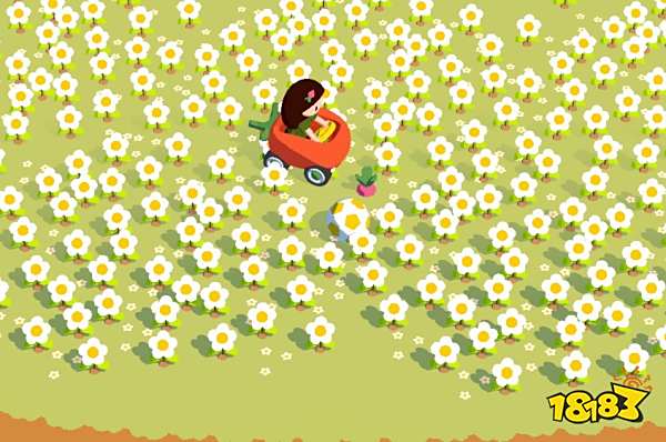 舒舒服服小島時光全足球位置一覽 舒舒服服小島時光足球位置分享