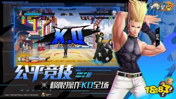 代號(hào)拳皇VS手游下載