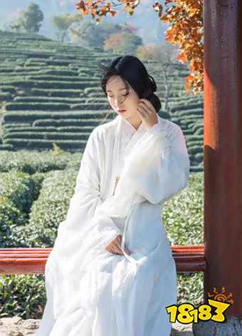 直播聊天平台纯聊天哪家好 直播聊天平台热门排行
