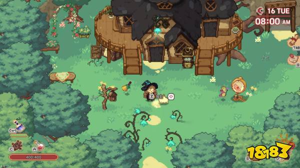 林中小女巫貓咪好感度怎么提升 林中小女巫貓好感度等級作用