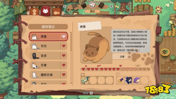 林中小女巫貓咪好感度怎么提升 林中小女巫貓好感度等級作用