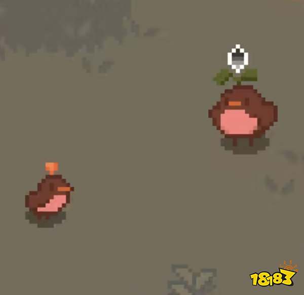 林中小女巫綠森特殊個體一覽 林中小女巫綠森特殊個體圖片分享