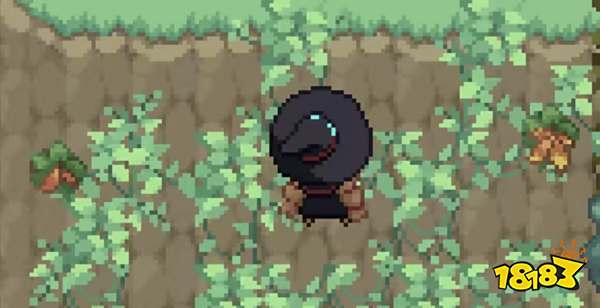 林中小女巫綠森特殊個體一覽 林中小女巫綠森特殊個體圖片分享