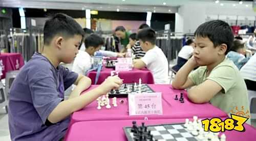 2025年河北省棋牌联赛启幕，打造全民智慧盛宴