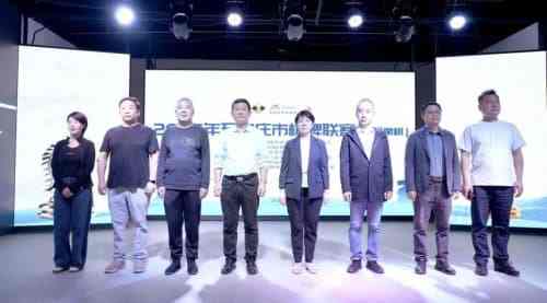 2025年河北省棋牌联赛启幕，打造全民智慧盛宴