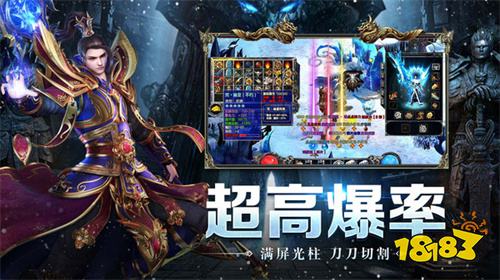 纯打金单职业传奇手游下载