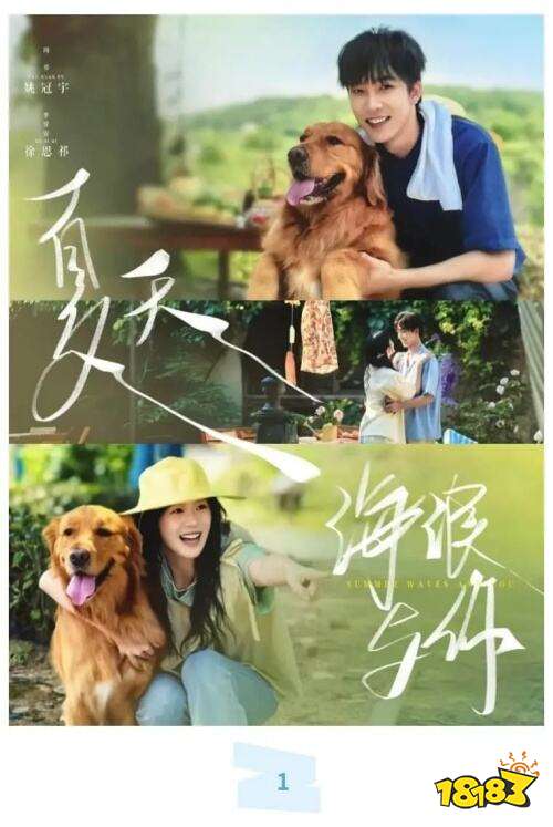 高甜預警!2025年這些甜寵短劇讓你嗑到停不下來