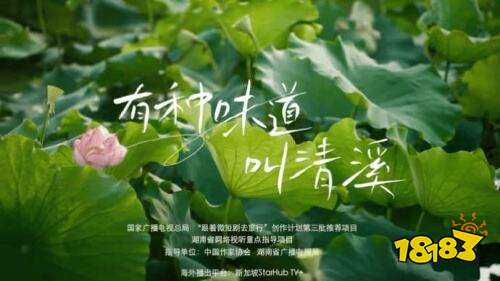 好看的短劇有哪些 2025年好看的最新短劇推薦