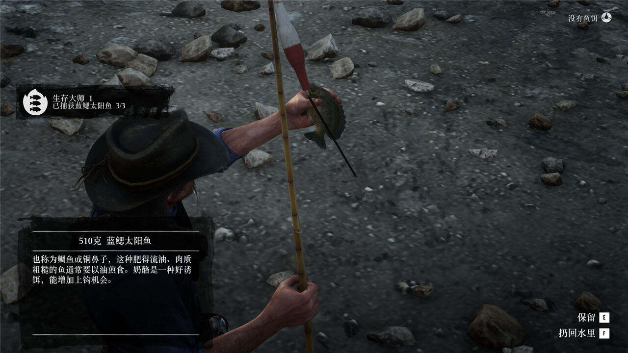 荒野大鏢客2生存大師挑戰攻略分享 荒野大鏢客2生存大師挑戰完成方法一覽