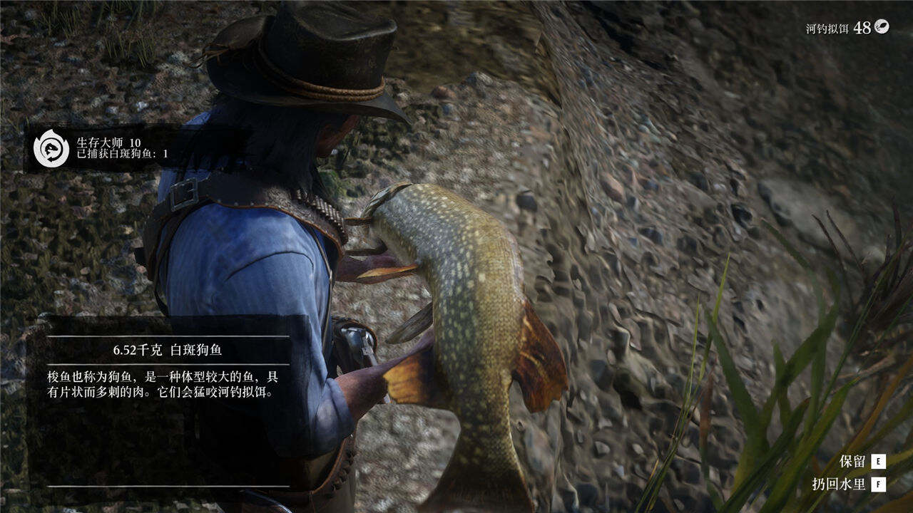 荒野大鏢客2生存大師挑戰攻略分享 荒野大鏢客2生存大師挑戰完成方法一覽