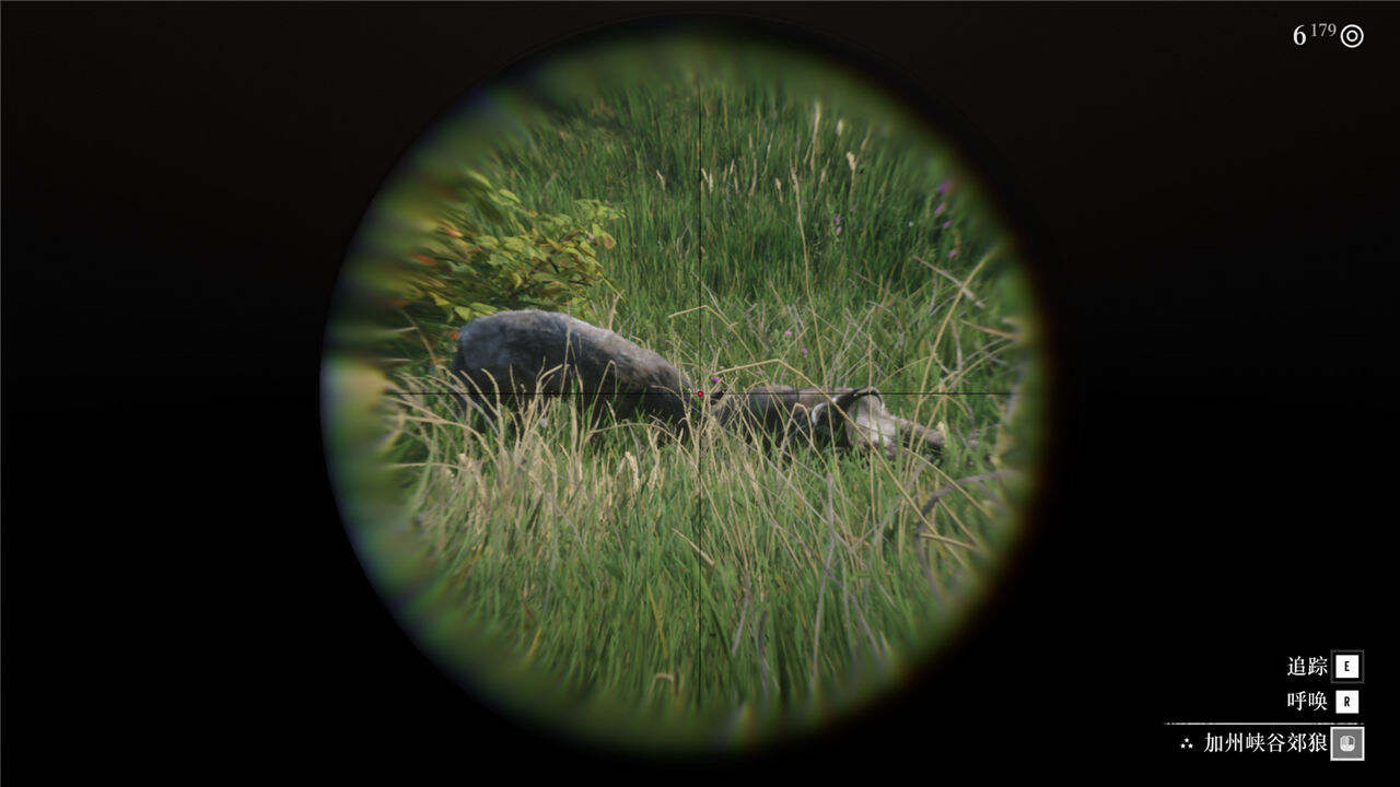 荒野大鏢客2捕獵大師挑戰攻略分享 荒野大鏢客2捕獵大師全挑戰完成方法一覽