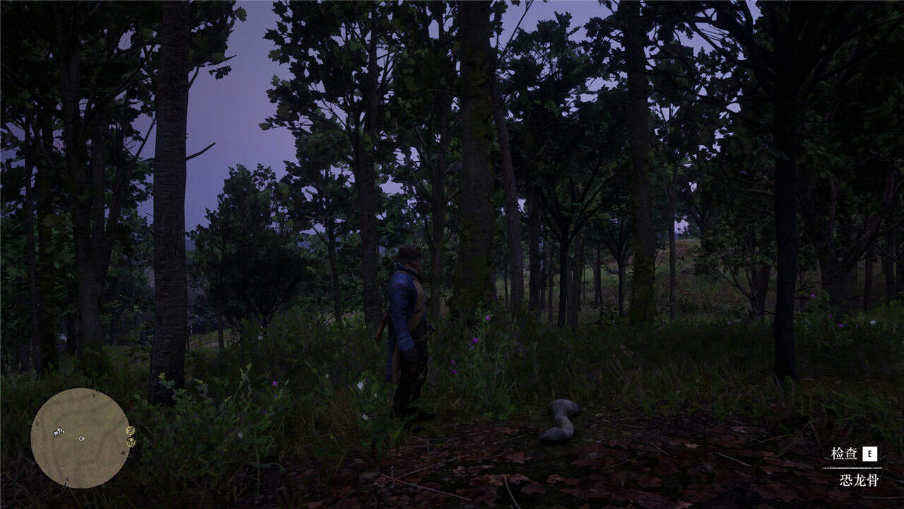 荒野大鏢客2全龍骨收集攻略分享 荒野大鏢客2全龍骨位置一覽