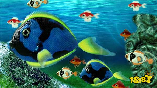 万亨捕鱼官方版