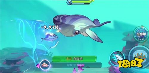 魚吃魚在哪玩? 魚吃魚玩法介紹2025