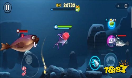 魚吃魚怎么玩？ 魚吃魚游戲攻略2025