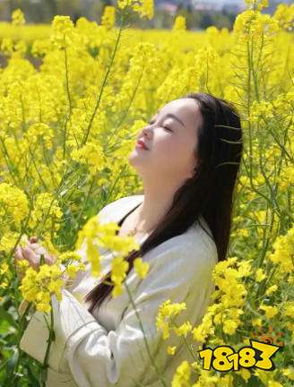 2026最开放的免费聊天软件 最开放的免费聊天软件脱单