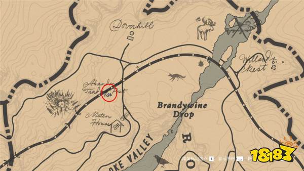 荒野大鏢客2珠玉壁人系列香煙卡收集攻略分享 荒野大鏢客2珠玉壁人香煙卡位置