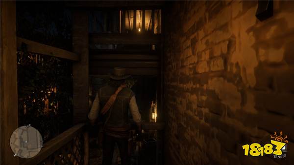 荒野大鏢客2北美野植系列香煙卡收集攻略分享 荒野大鏢客2北美野植香煙卡位置一覽