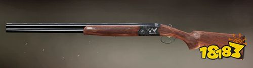 和平精英枪械搭配核心思路 和平精英科学配装决胜战场