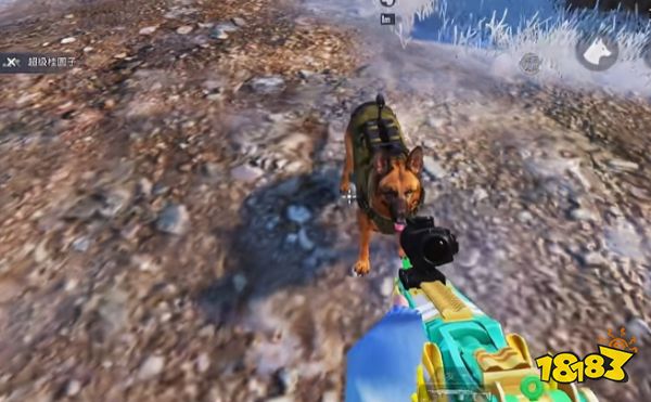 和平精英冰雪哈尔滨军犬怎么获得 和平精英军犬召唤哨获取方法