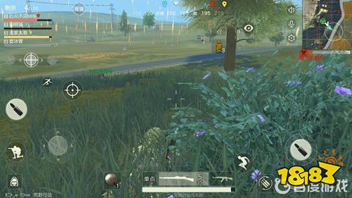 荒野行动新手必看决赛圈打法 荒野行动决赛圈怎么玩?