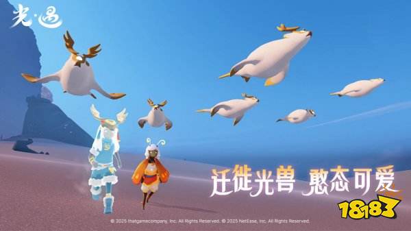 光遇华为渠道服