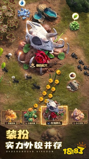 小小蟻國內(nèi)購版下載