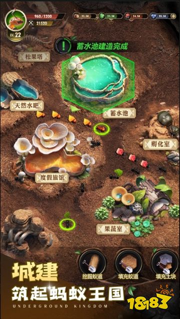 小小蟻國內(nèi)購版下載