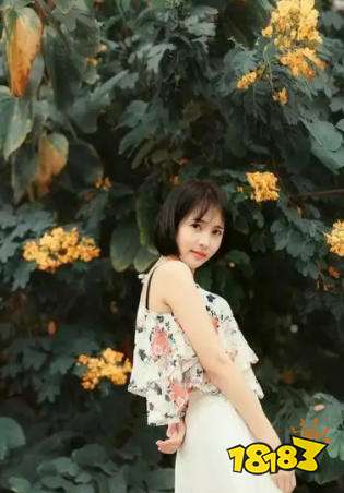 手机美女直播软件哪个好 免费手机美女直播软件排行榜