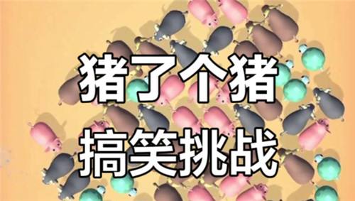 猪了个猪最新兑换码大全 猪了个猪2025礼包码汇总