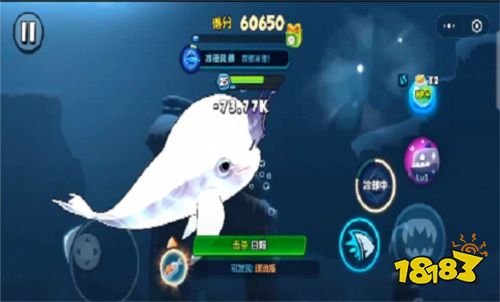 魚吃魚官網下載入口