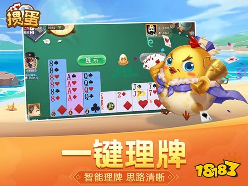 天天爱掼蛋电脑版