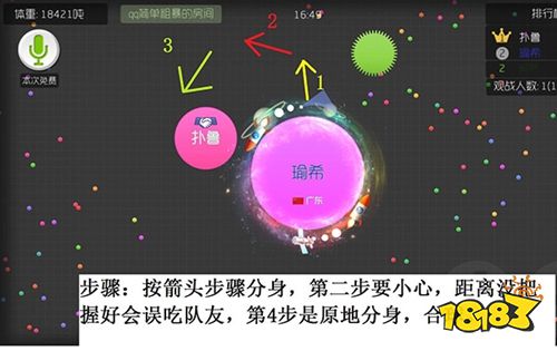 球球大作战免费版