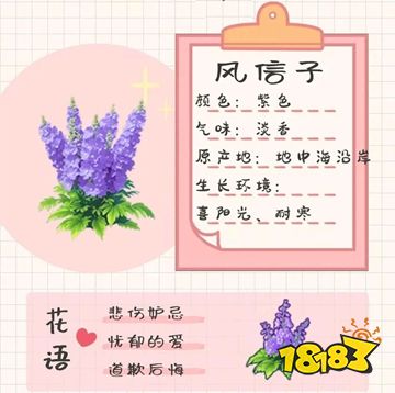 我的花园世界正版下载