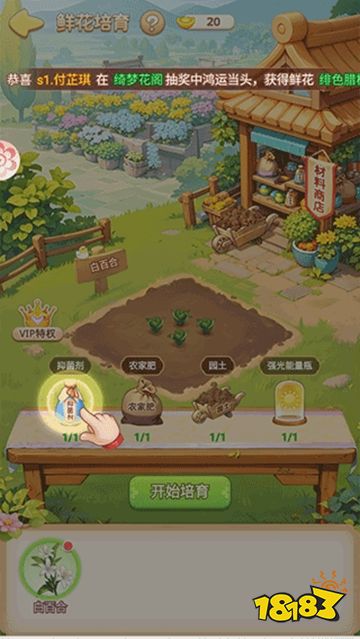 我的花园世界手游下载