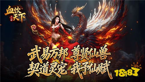 血饮天下宠宠打宝十二职业版