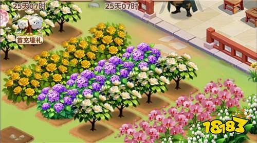 我的花园世界2025兑换码大全 我的花园世界热门礼包码合集