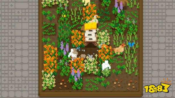 小小露台手机版