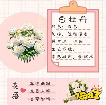 我的花園世界正版下載