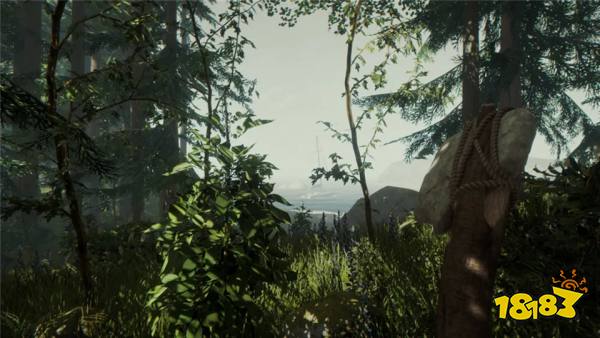 森林TheForest手机版