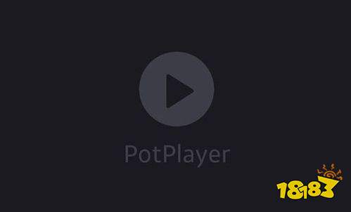 全能王Pot播放器