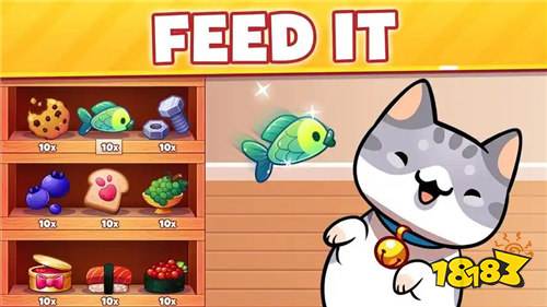 找个儿喵热门兑换码大全 找个儿喵有效兑换码汇总