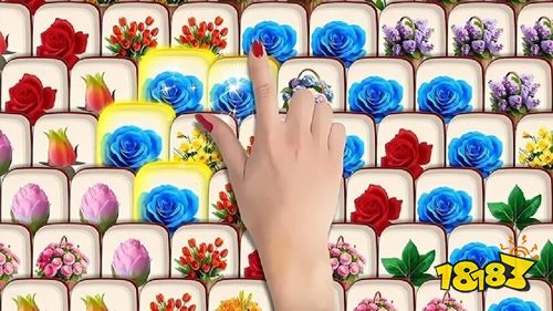 花朵不停消免广告版