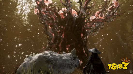 轮回之兽游戏实时战斗画面,展示角色攻击与闪避