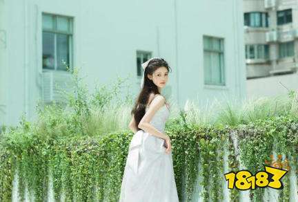 外国视频聊天软件有哪些 免费版视频聊天软件平台