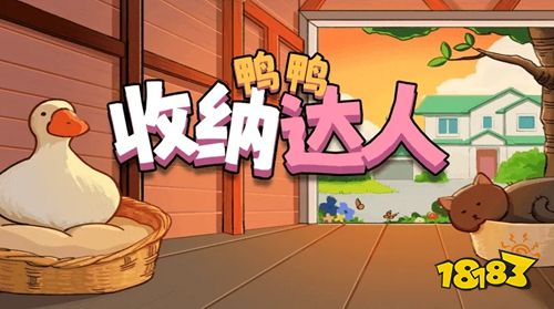 鸭鸭收纳大师最新版下载