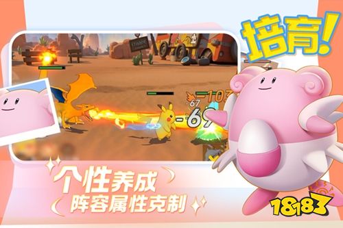 宠物集结安卓版下载