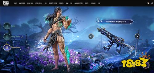 PUBG国际服8100UC代充多少钱 2026最新靠谱平台推荐