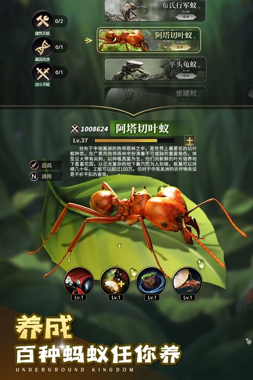华体会网址登录首页截图